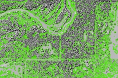 DSM_hillshade_with_tree_canopy_poly